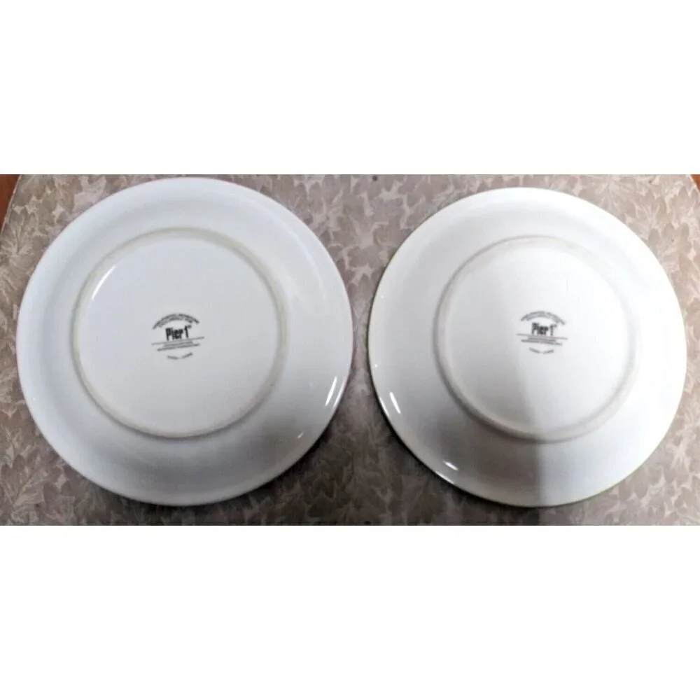 Pier 1 Salad plates (2) Hand-Painted Star/Flower Ironstone 8